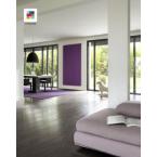  Fassane EC 2145W coul 