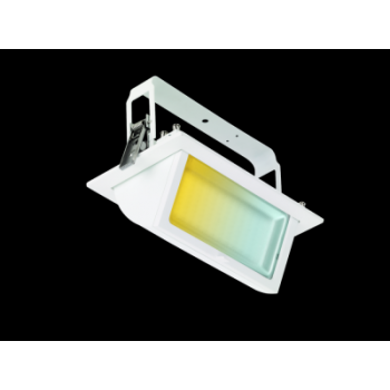  PrysimCS rect. IP65 42W CS BL 