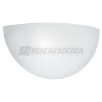  VERRE RECHANGE KUMA 