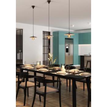  SUSP.ROMA E27 NOIR/CUIVRE S/LP 