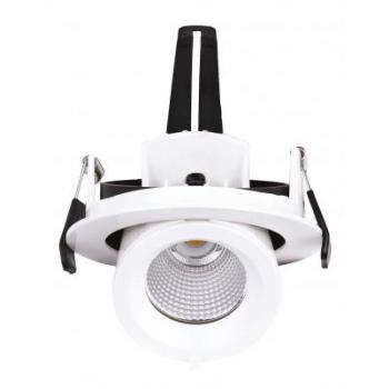  RANDY 1 LED 50 13W/3000K 