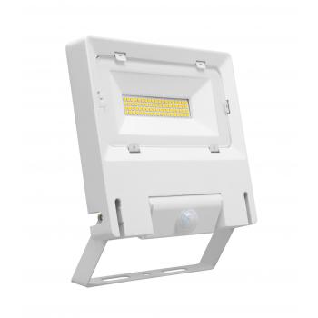  MICHELLE 50W/4000K SENSOR BLC 