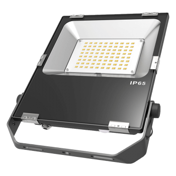  **PROJECTEUR ROCK 30W 