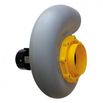  Ven cent pp tail20 M*51202010* 
