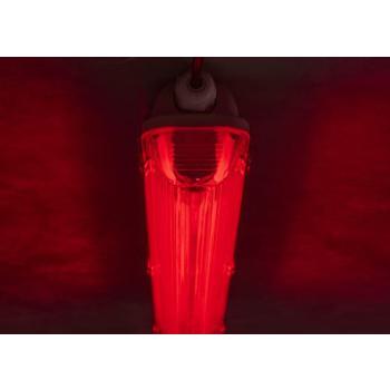  LED Party T8 29X1500 22W Rouge 