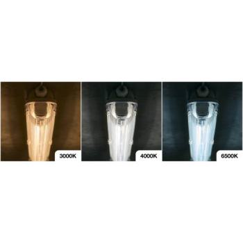  LED Ecoplus T8 Switch 600 