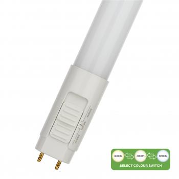  LED Ecoplus T8 Switch 1200 
