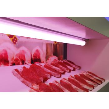  LED Viande T5 AC 1149 G5 22W 