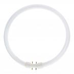  TL5 Circular 2GX13 40W 3300lm 