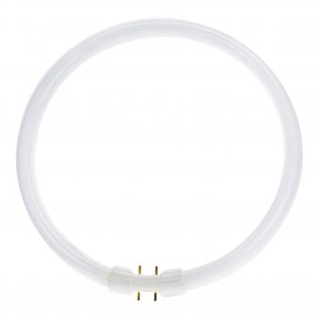  TL5 Circular 2GX13 40W 3300lm 