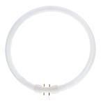  TL5 Circular 2GX13 55W 4210lm 