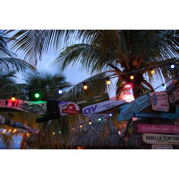  EcoPack LED Party G45 B22d 1W 
