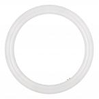  LED Ecobasic Circ G10q 16W 840 