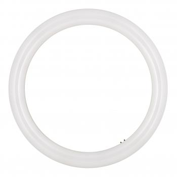  LED Ecobasic Circ G10q 16W 840 