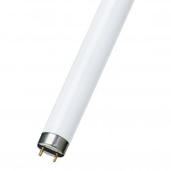  T8 10W G13 26X330 UV Actinique 