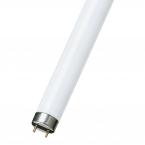  MASTER TL-D Super 80 G13 36W 8 