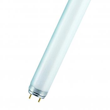  Lumiluxc T8 G13 36W 840 