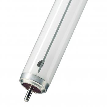  TL-X XL Fa6 40W/33-640 