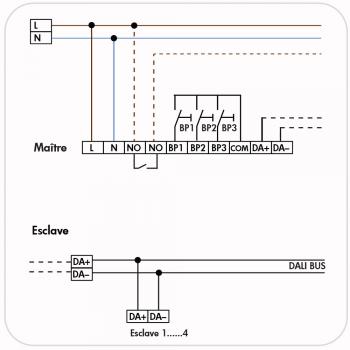  PD4-M-DAA4G-FP 