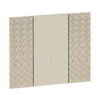  LNW-PLAQUE OPTIQUE 2M 