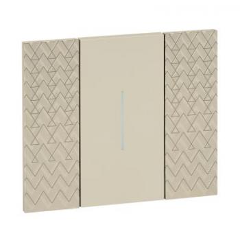  LNW-PLAQUE OPTIQUE 2M 