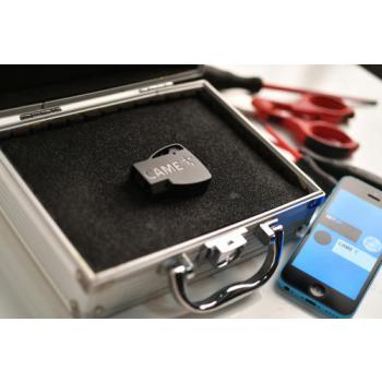  Came Key - Interface WIFI 