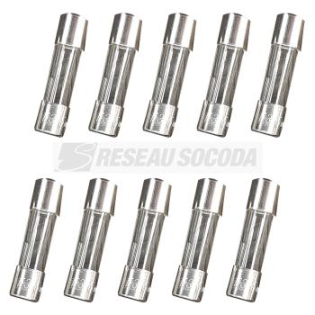  10 fusibles de 315MA 5x20 