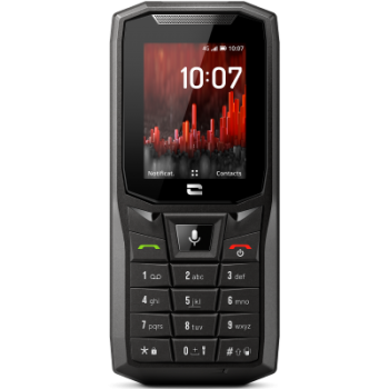  CORE-S4 4GB Pices 10 ans 