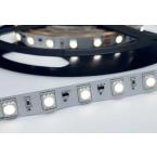  **RUBAN 12W 1CM 3000K IP20 24V 