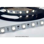  Ruban 60L/M 5050 24V 12W/M  IP 