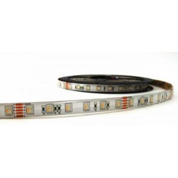  RUBAN 19,2W 5M RGB40 IP65 24V 