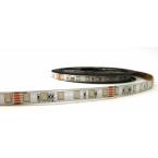  RUBAN 19,2W 7M RGB40 IP65 24V 