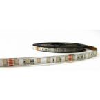  RUBAN 19,2W 1CM RGB40 IP65 24V 