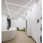  PR1038 BOUCHON X2 GRIS 