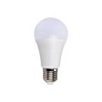  Lampe LED E27 BT MESH RGB+TW 