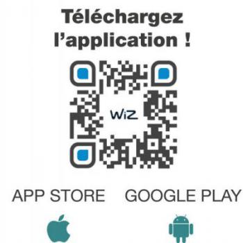  Prise connectee 3P WIZ 230V 
