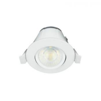  LUU PRO DALI 38 ori bl 