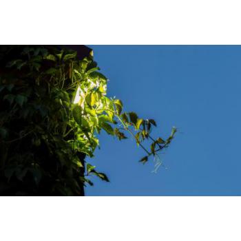  ELIOS SOLAR anthracite 8,5W 