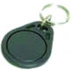  transpondeur porte-clefs 
