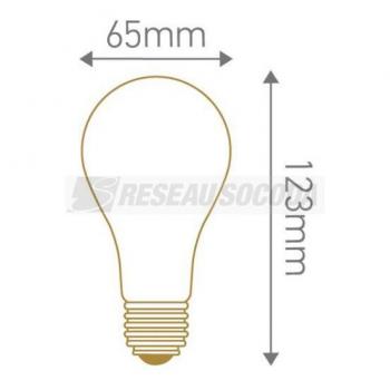  Standard A65 LED 330 12W E27 