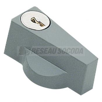  Poignee avec cle N427 