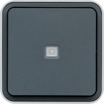  cubyko BP 1O/1F  voyant gris 