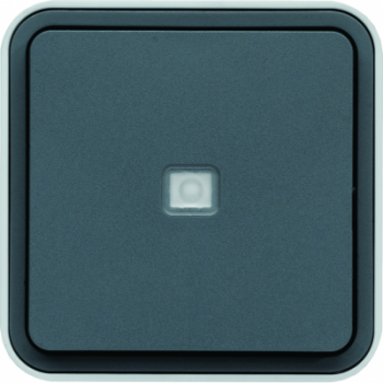  cubyko BP 1O/1F  voyant gris 
