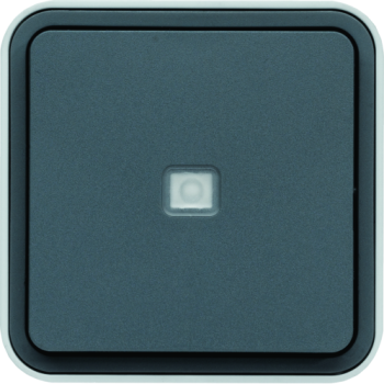  cubyko BP 1O/1F  voyant gris 