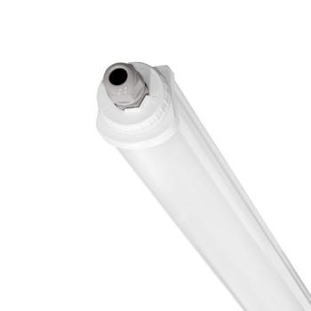  POLAS VERSA 1300mm 31W IP66 12 