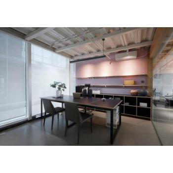  OTIS 2 P 30W+5W 4000K 60+110 