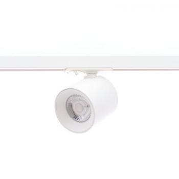  RAY 13W 1405Lm 38 BLANC MAT 