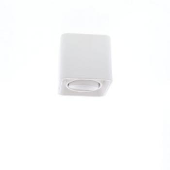  LUPO 1 GU10 MAX10W PAR16 BLANC 