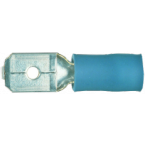  Fic. plat. males bleues 6.3x08 