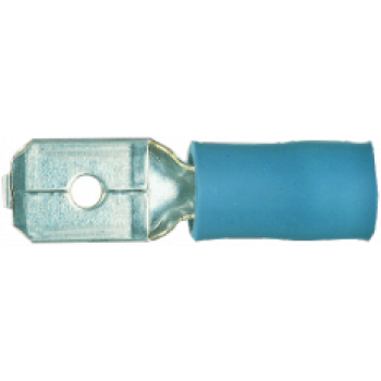  Fic. plat. males bleues 6.3x08 